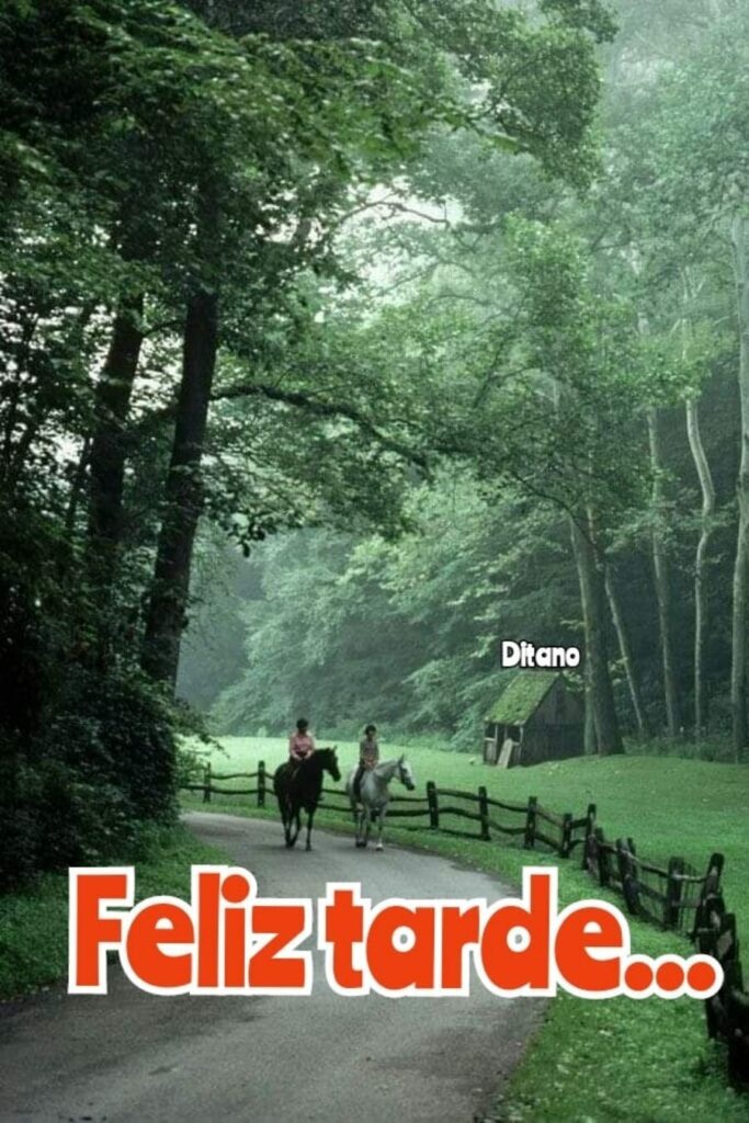 Feliz tarde... (Ditano)