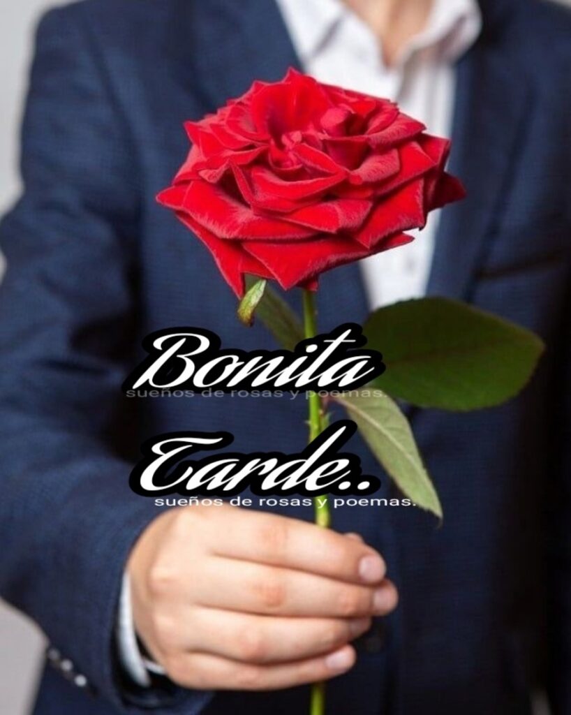 Bonita Tarde.. (Sueños de rosas y poemas)