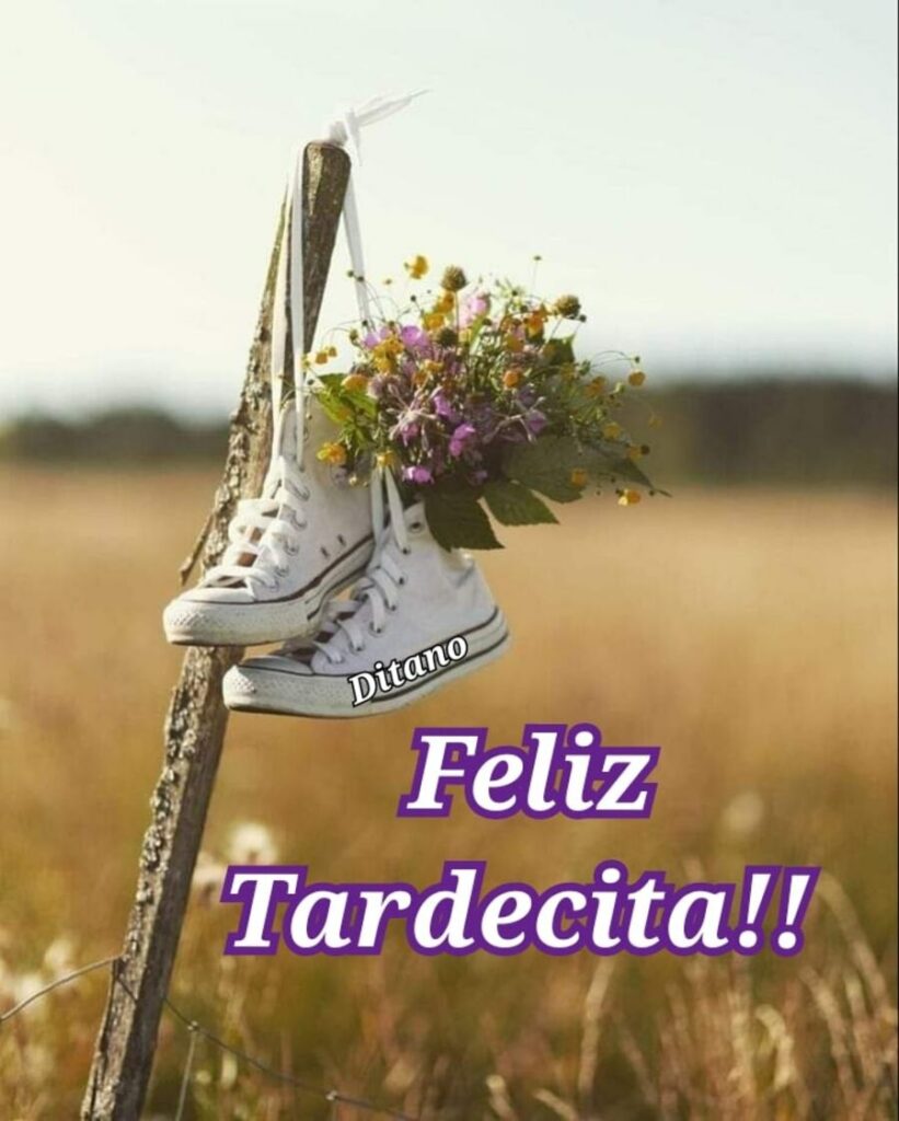 Feliz Tardecita!!