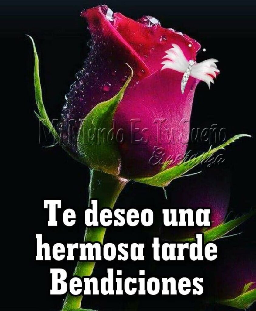 Te deseo una hermosa tarde, bendiciones