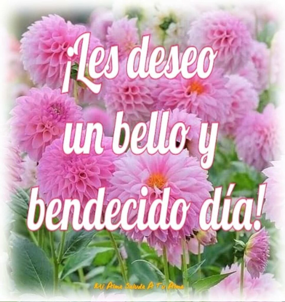 ¡Las deseo un bello y bendecido día!