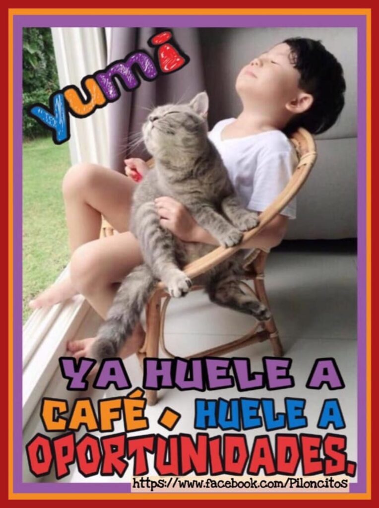 Yumi. Ya huele a café. Huele a oportunidades.