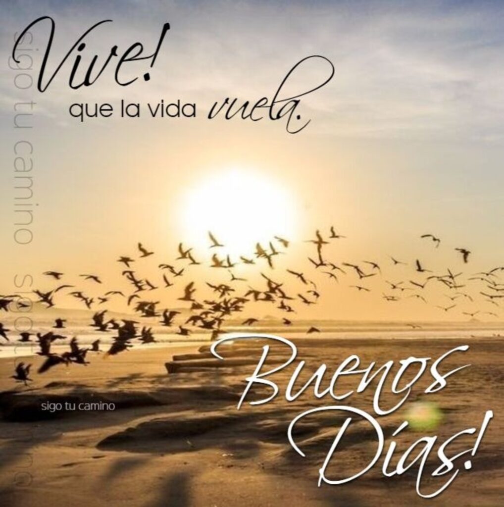 Vive! que la vida vuela. Buenos Días!