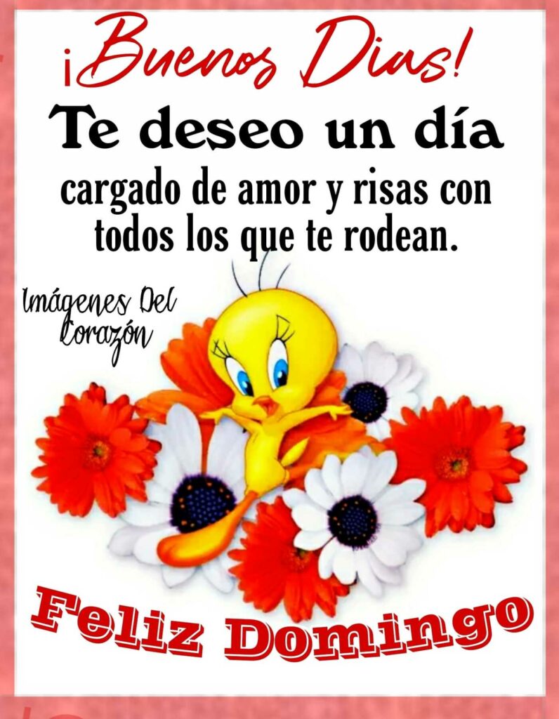 ¡Buenos Días! Te deseo un día cargado de amor y risas con todos los que te rodean. Feliz Domingo