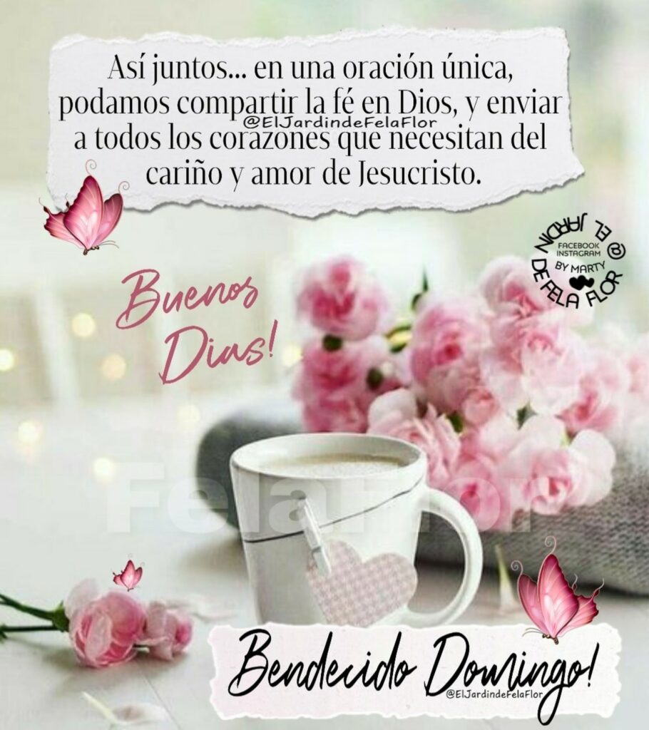 Así juntos... en una oración única, podamos compartir la fé en Dios, y enviar a todos los corazones que necesitan del cariño y amor de Jesucristo. Buenos Días! Bendecido Domingo!