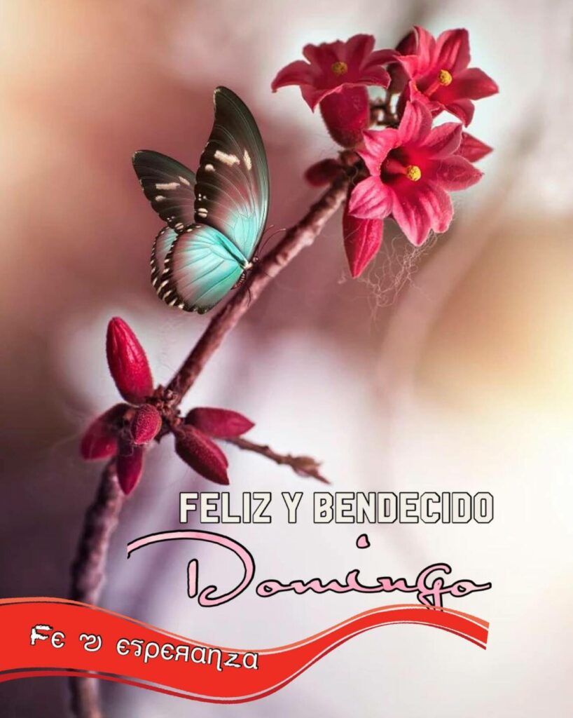 Feliz y bendecido Domingo