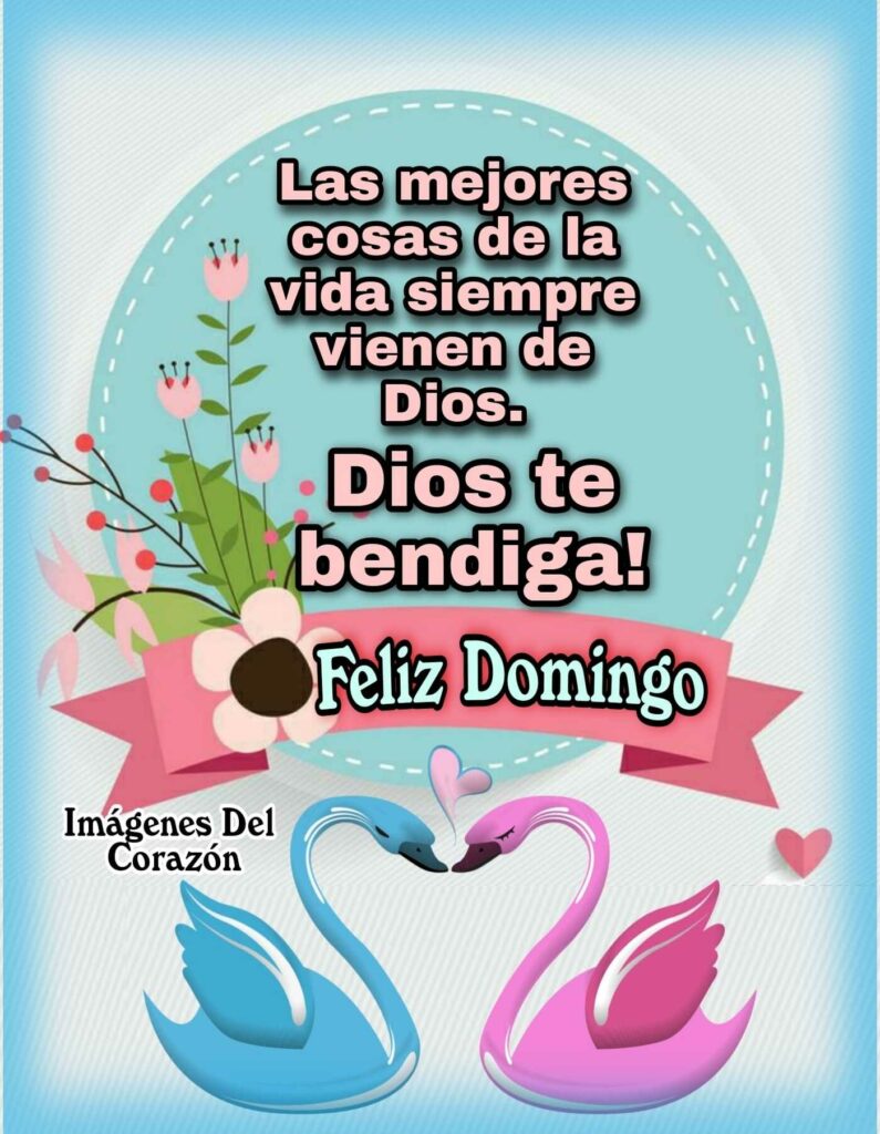 Las mejores cosas de la vida siempre vienen de Dios. Dios te bendiga! Feliz Domingo