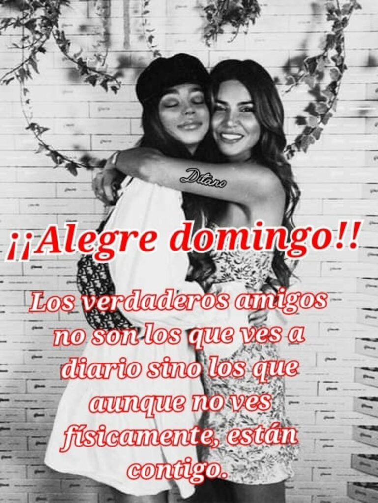 ¡¡Alegre domingo!! Los verdaderos amigos no son los que ves a diario sino los que aunque no ves físicamente, están contigo.