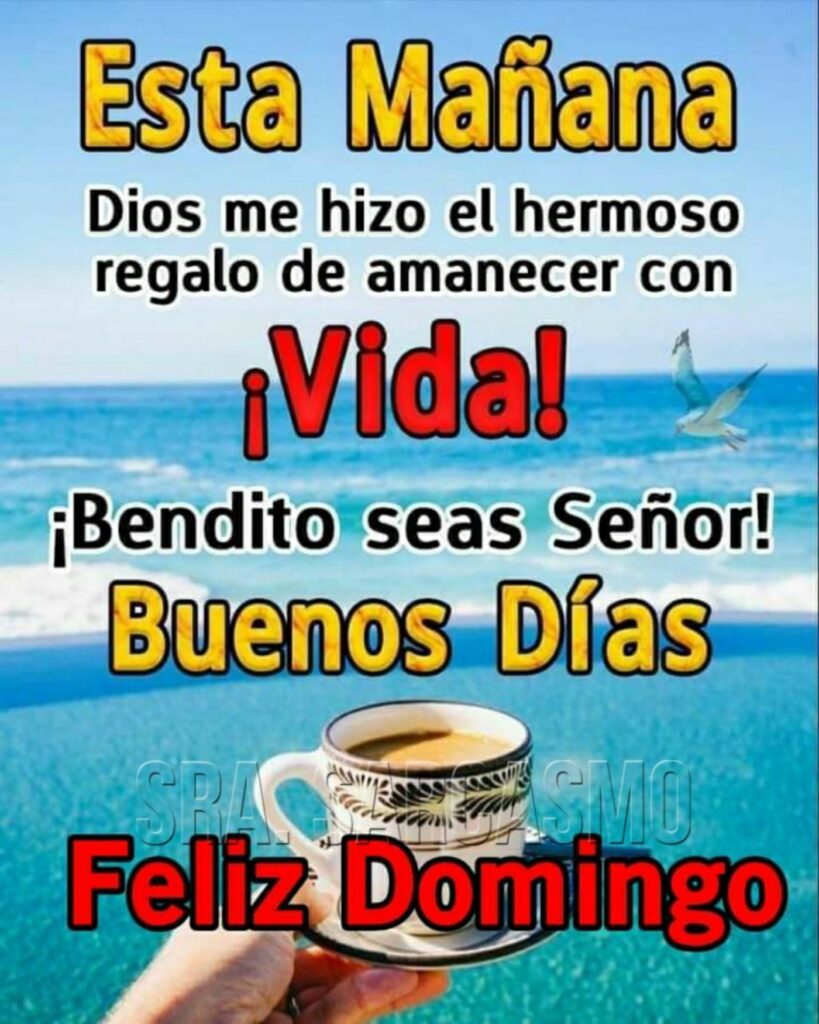 Esta mañana Dios me hizo el hermoso regalo de amanecer con ¡Vida! ¡Bendito seas Señor! Buenos Días, Feliz Domingo