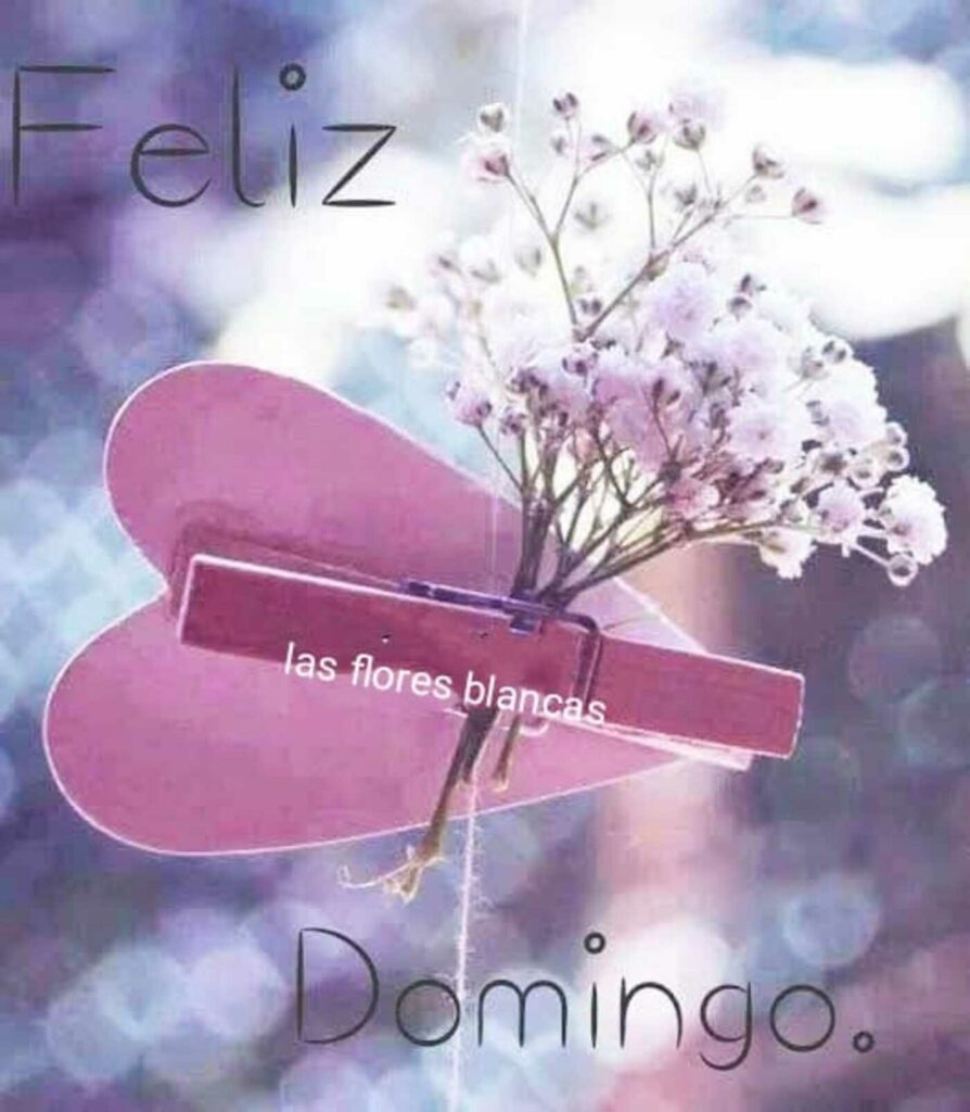 Feliz Domingo (Las flores blancas)