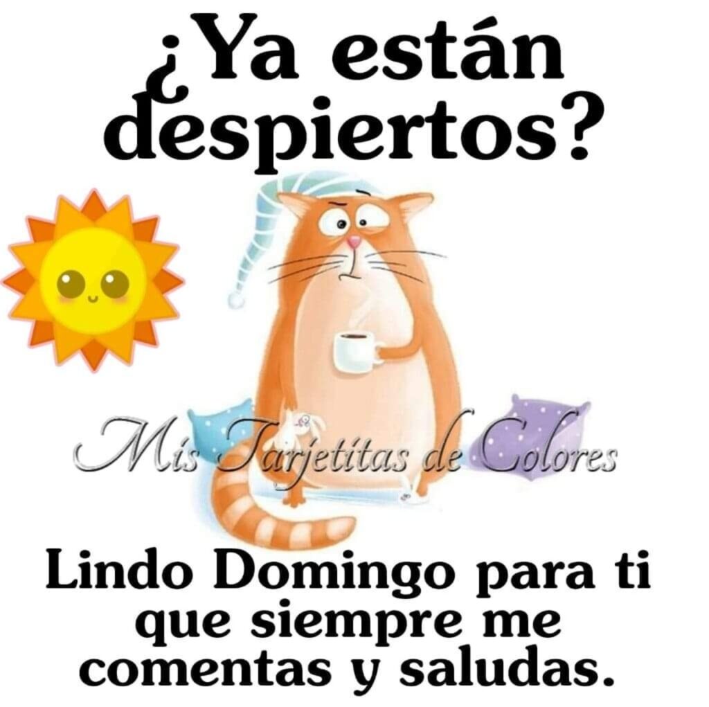 ¿Ya están despiertos? Lindo Domingo para ti que siempre me comentas y saludas.