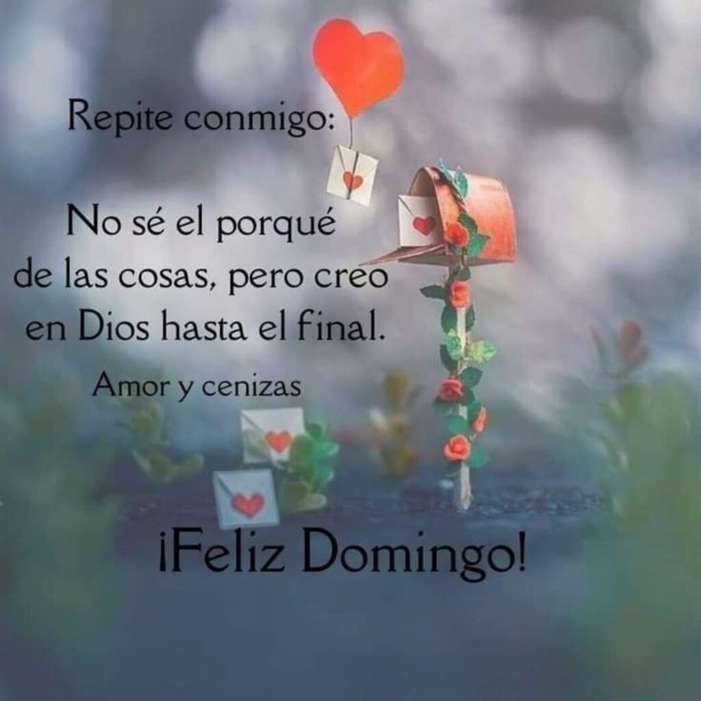 Repite conmigo: No sé el porque de las cosas, pero creo en Dios hasta el final. Feliz Domingo