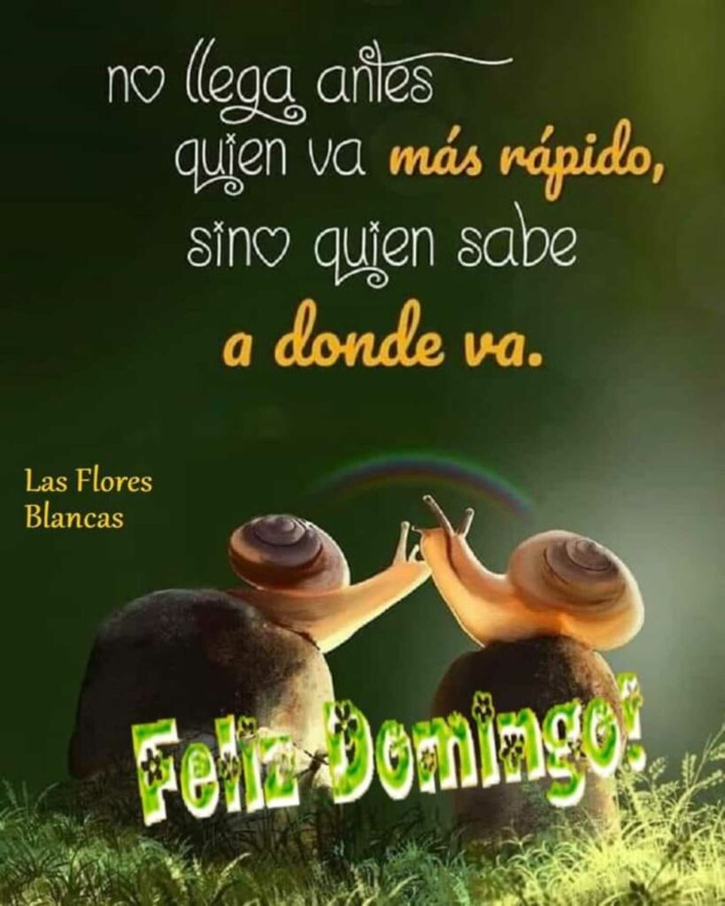 No llega antes quien va más rápido, sino quien sabe a donde va. Feliz Domingo