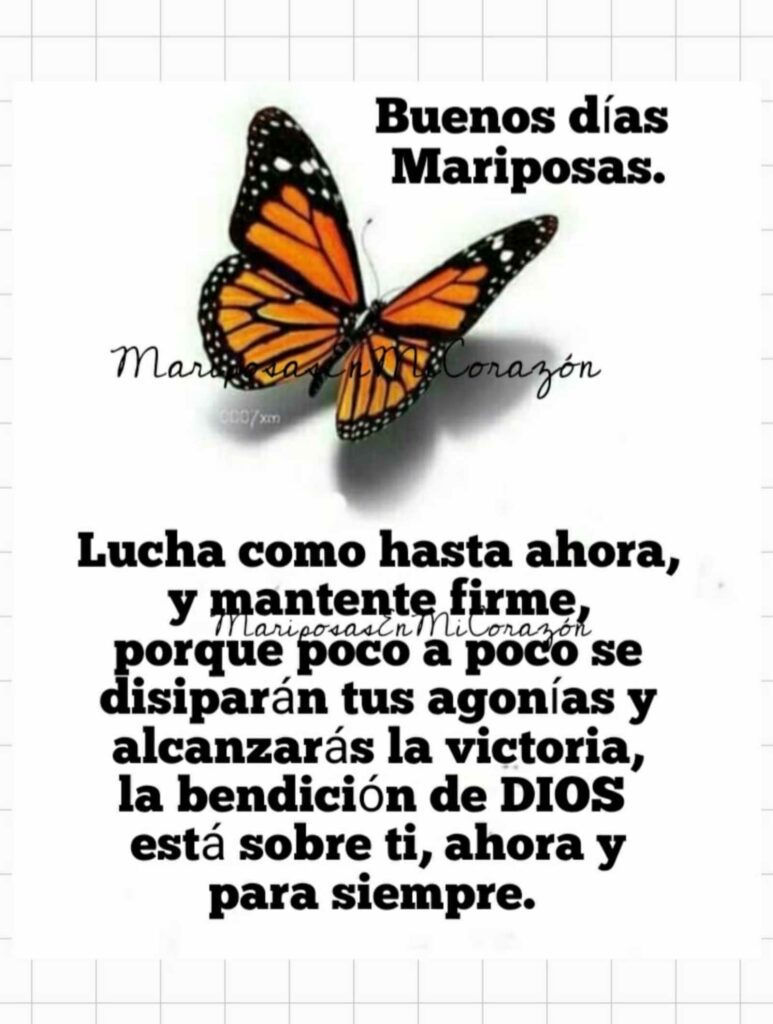 Buenos Días Mariposas. Lucha como hasta ahora, y mantente firme, porque poco a poco se disiparán tus agonías y alcanzarás la victoria, la bendición de DIOS está sobre ti, ahora y para siempre.