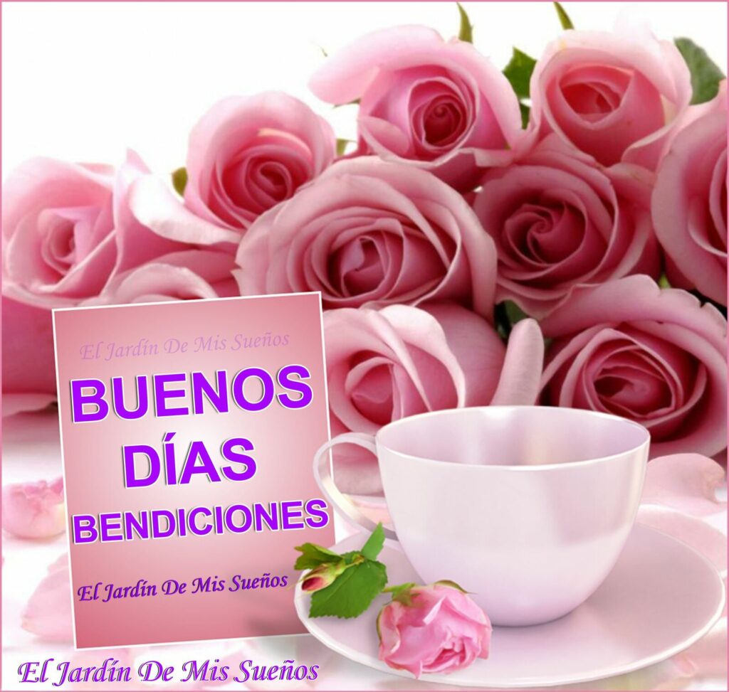 BUENOS DÍAS BENDICIONES