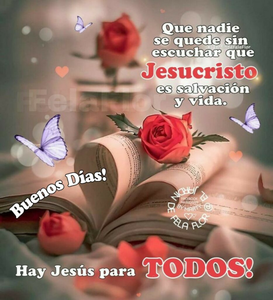 Que nadie se quede sin escuchar que Jesucristo es salvación y vida. Buenos Días! Hay Jesús para TODOS! (El jardin de Fela Flor)