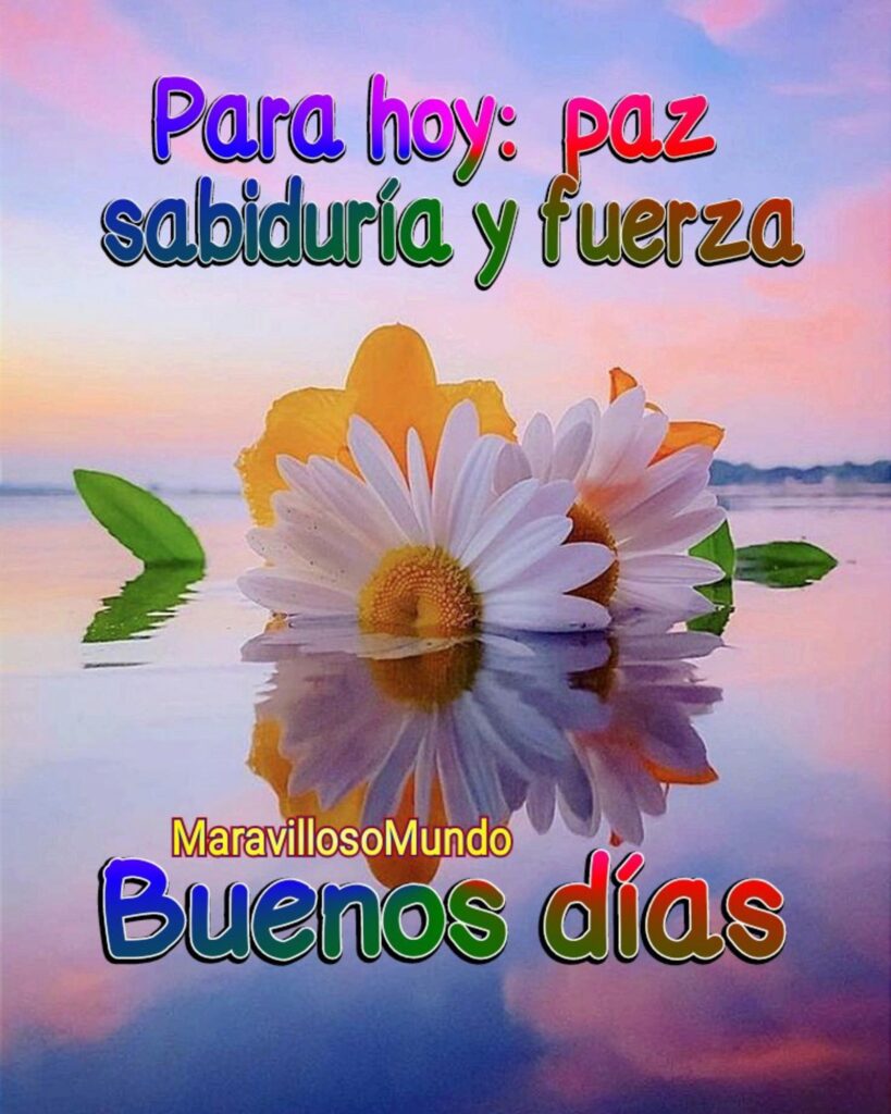 Para hoy: paz, sabiduría y fuerza. Buenos días