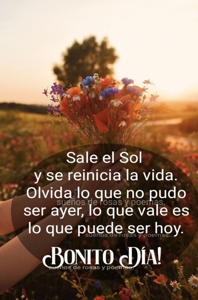 Sale el sol y se reinicia la vida. Olvida lo que  no pudo ser ayer, lo que vale es lo que puede ser hoy. BONITO DÍA!