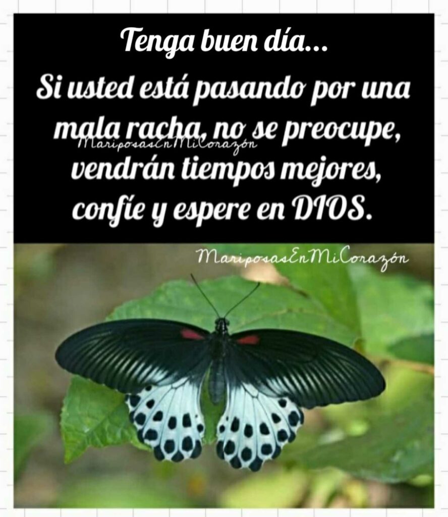 Tenga buen día... Si usted está pasando por una mala racha, no se preocupe, vendrán tiempos nejores, confíe y espere en DIOS.