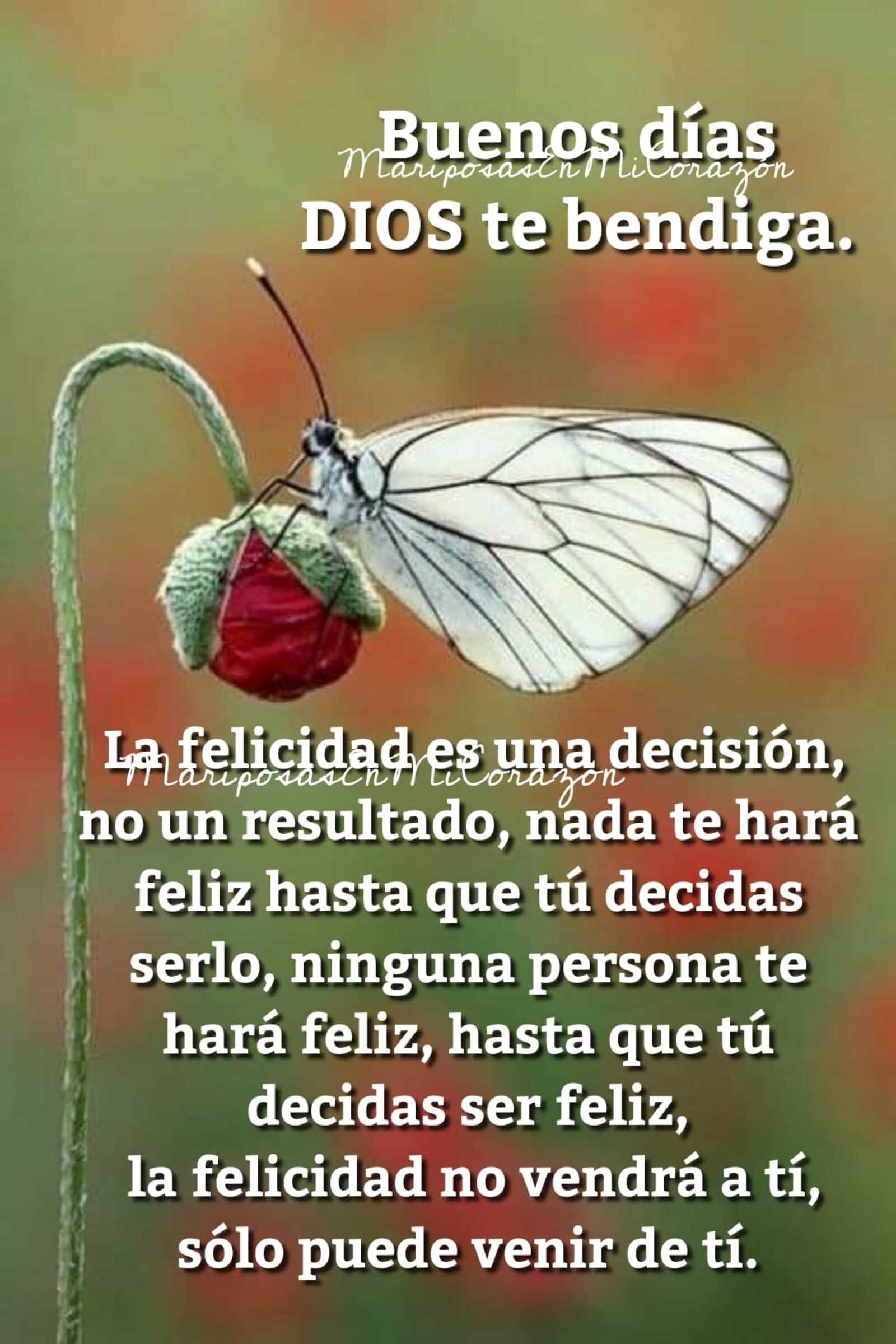 Imagenes De Buenos Dias Y Bendiciones