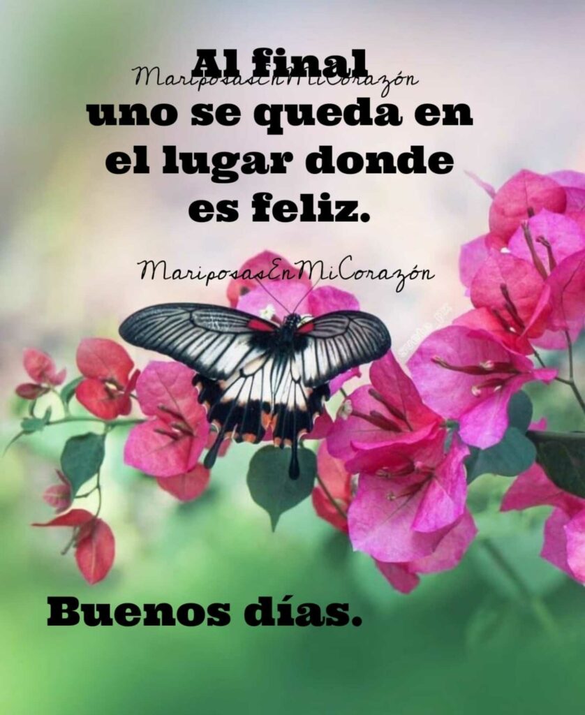 Al fimal uno se queda en el lugar donde es feliz. Buenos días (Mariposas en mi corazón)