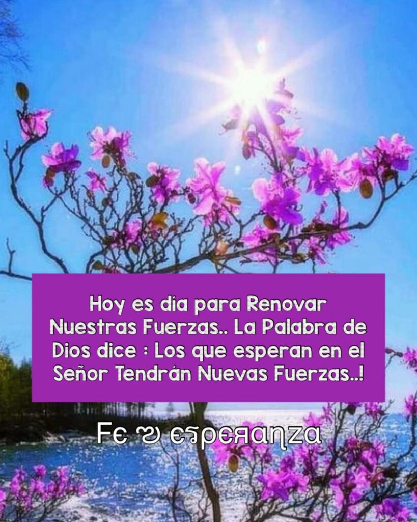 Hoy es día para renovar nuestras fuerzas... La palabra de Dios dice: Los que esperan en el Señor tendrán nuevas fuerzas...! (Fe esperanza)