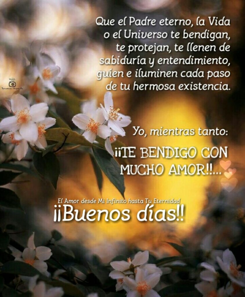 Que el Padre eterno, la vida o el Universo te bendigan, te protejan, te llenen de sabiduría y entendimiento, guien e iluminen cada paso de tu hermosa existencia. Yo, mientras tanto: ¡¡TE BENDIGO CON MUCHO AMOR...!! ¡¡Buenos días!!