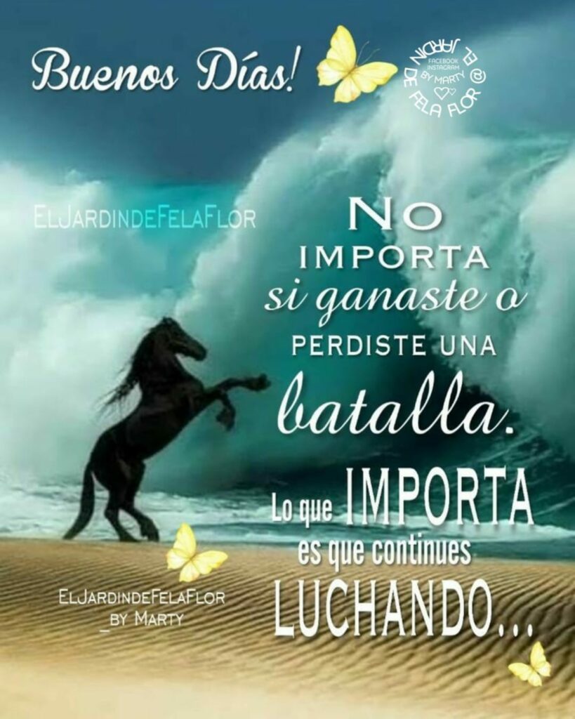 Buenos Días! No importa si ganaste o perdiste una batalla. Lo que importa es que continues luchando...