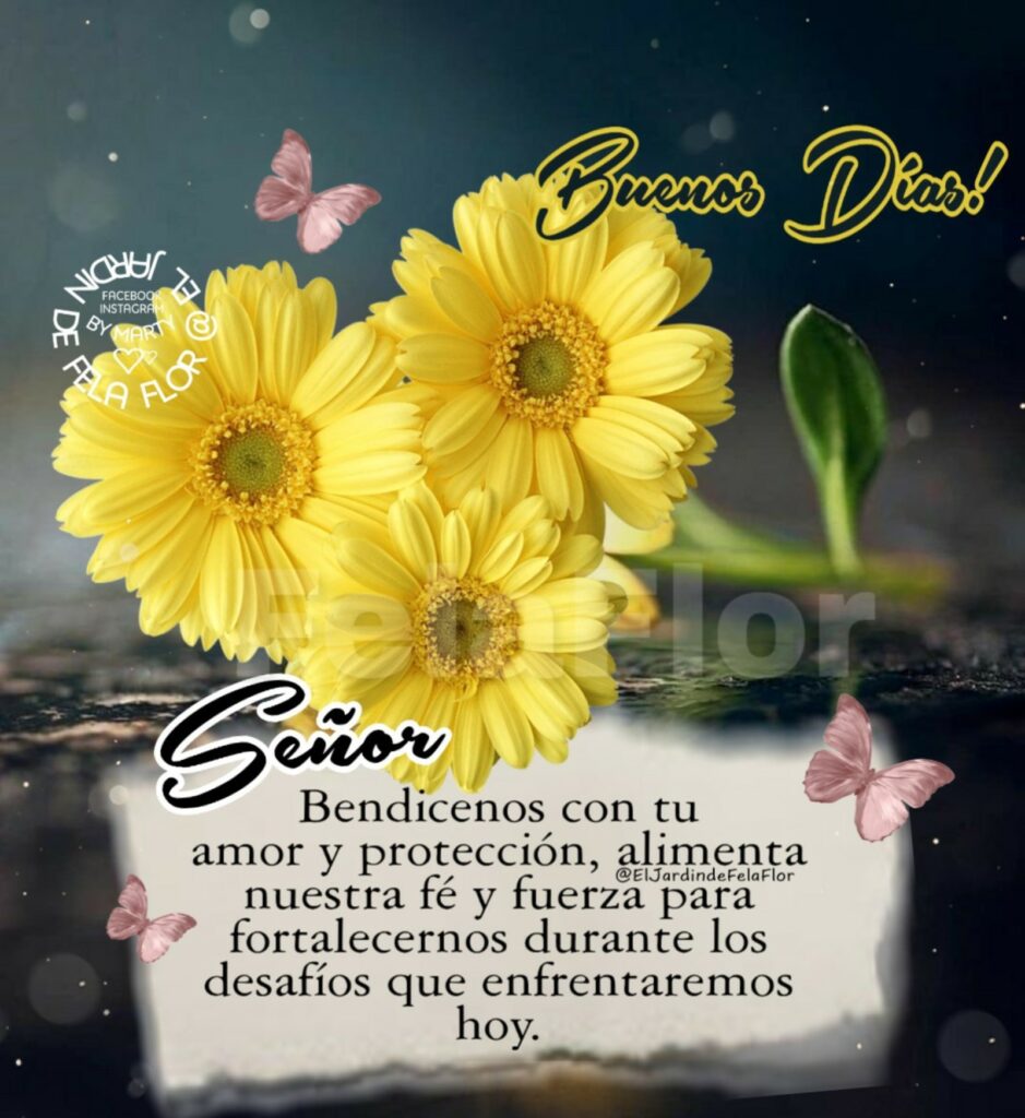 Buenos Días! Señor, bendicenos con tu amor y protección, alimenta nuestra fé y fuerza para fortalecernos durante los desafíos que enfrentaremos hoy.