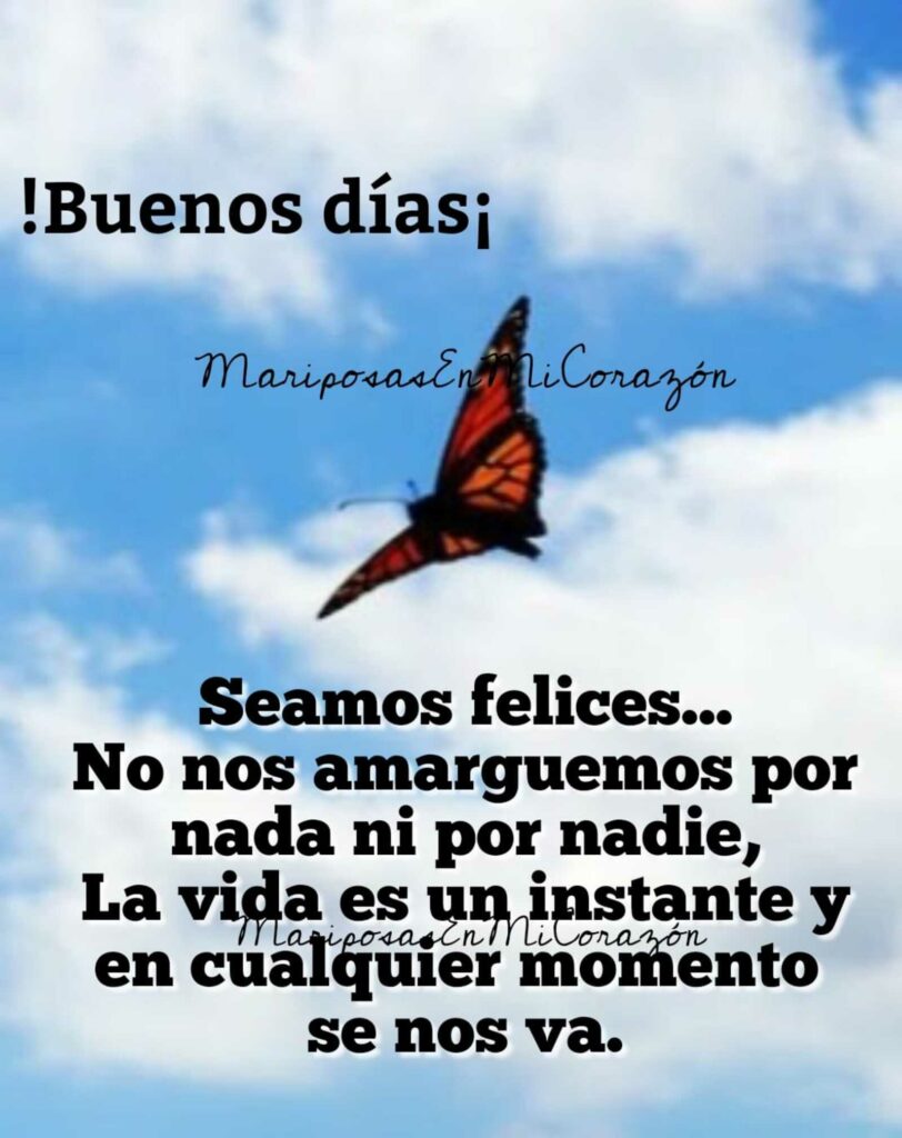 ¡Buenos días! Seamos felices... No nos amarguaemos por nada ni por nadie, la vida es un instante y en culaquier momento se nos va.