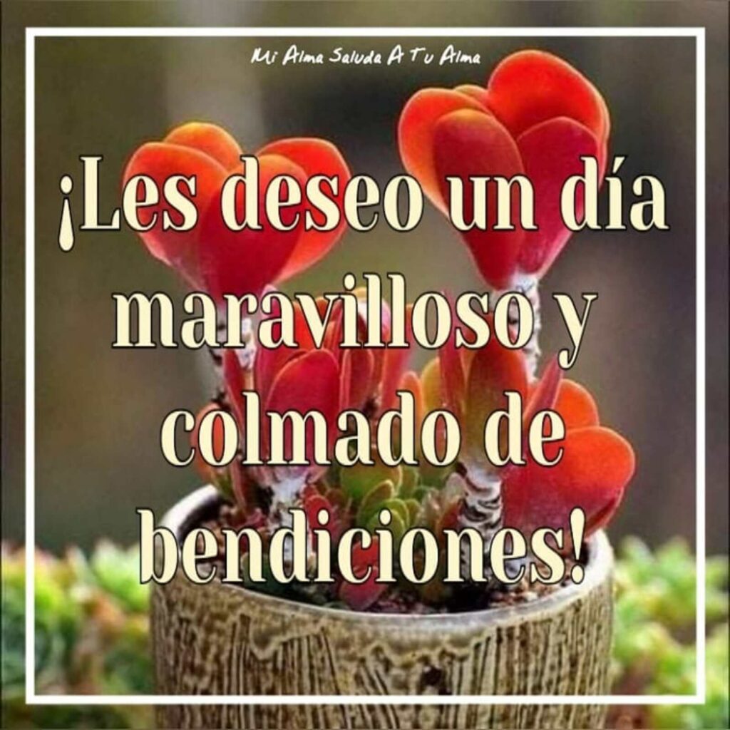 ¡Les deseo un día maravilloso y colmado de bendiciones!