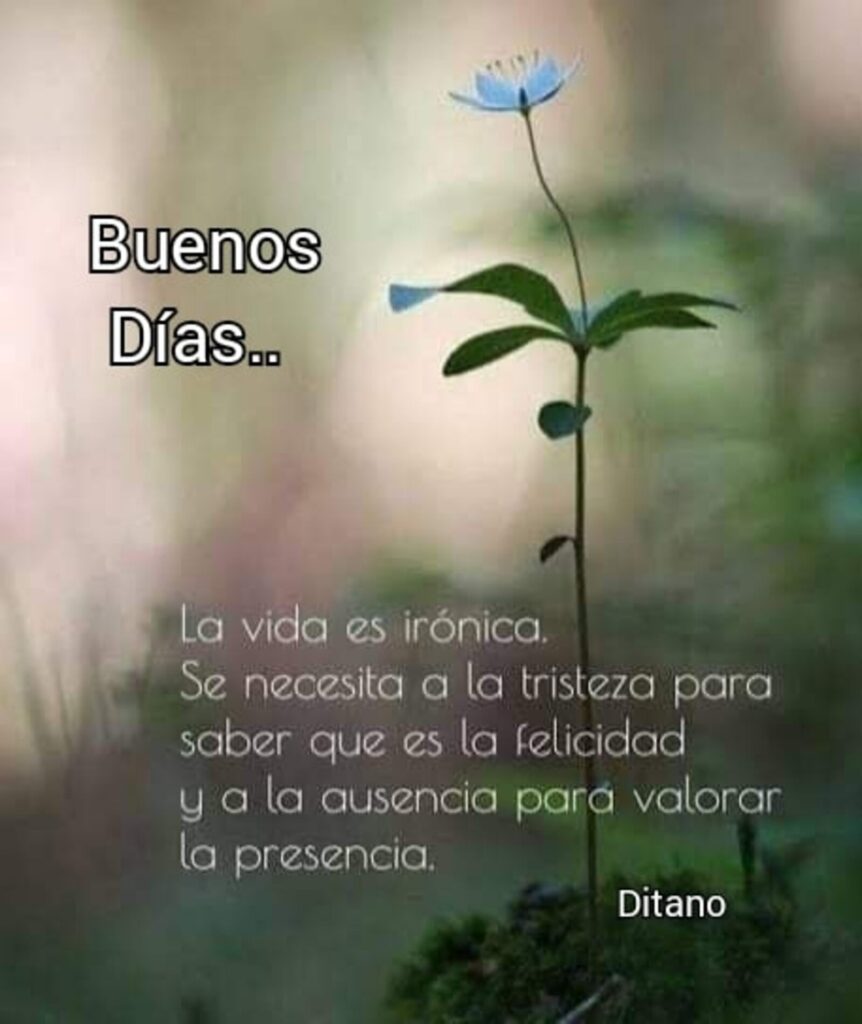 Buenos Días... La vida es irónica. Se necesita a la tristeza para saber que es la felicidad y la ausencia para valorar la presencia.