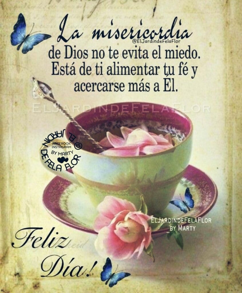 La misericordia de Dios no te evita el miedo. Está de ti alimentar tu fé y acercarse más a Él. Feliz Día!