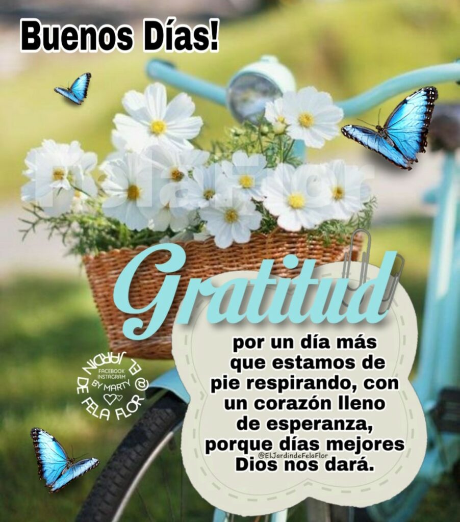 Buenos Días ! Gratitus por un día más que estamos de pie respirando, con un corazón lleno de esperanza, porque días mejores Dios nos dará.