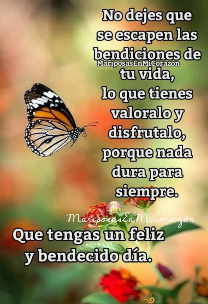 No dejes que se escapen las bendiciones de tu vida, lo que tienes valoralo y disfrutalo, porque nada dura para siempre. Que tengas un feliz y bendecido día.