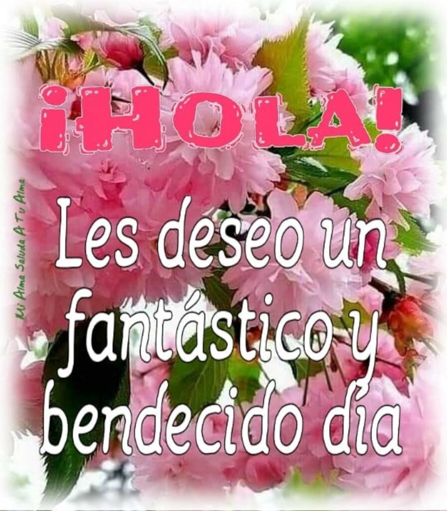 ¡HOLA! Les deseo un fantástico y bendecido día