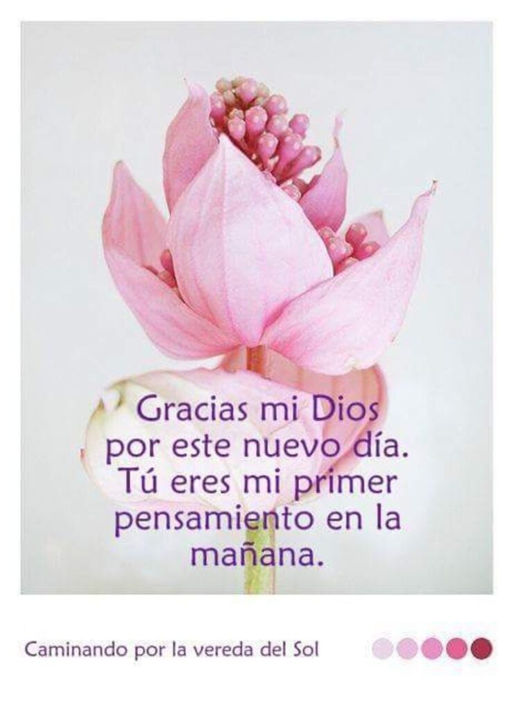 Gracias mi Dios por este nuevo día. Tú eres mi primer pensamiento en la mañana.