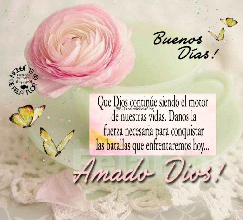 Buenos Días! Que Dios siendo el motor de nuestras vidas. Danos la fuerza necesaria para conquistar las batallas que enfrentaremos hoy... Amado Dios! (El jardin de Fela Flor)