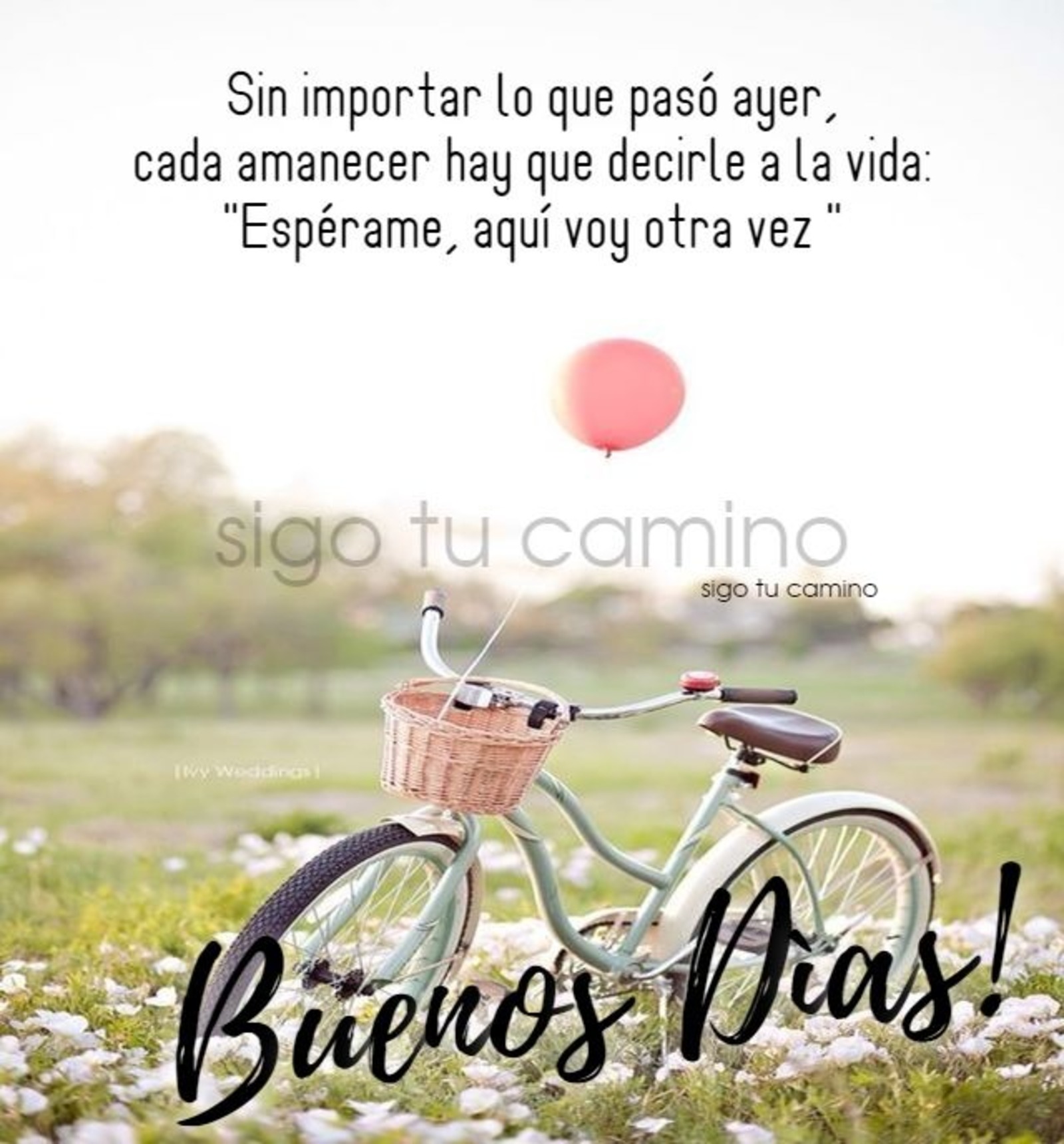 45 Buenos Días imágenes lindas 45 Buenos Días imágenes lindas