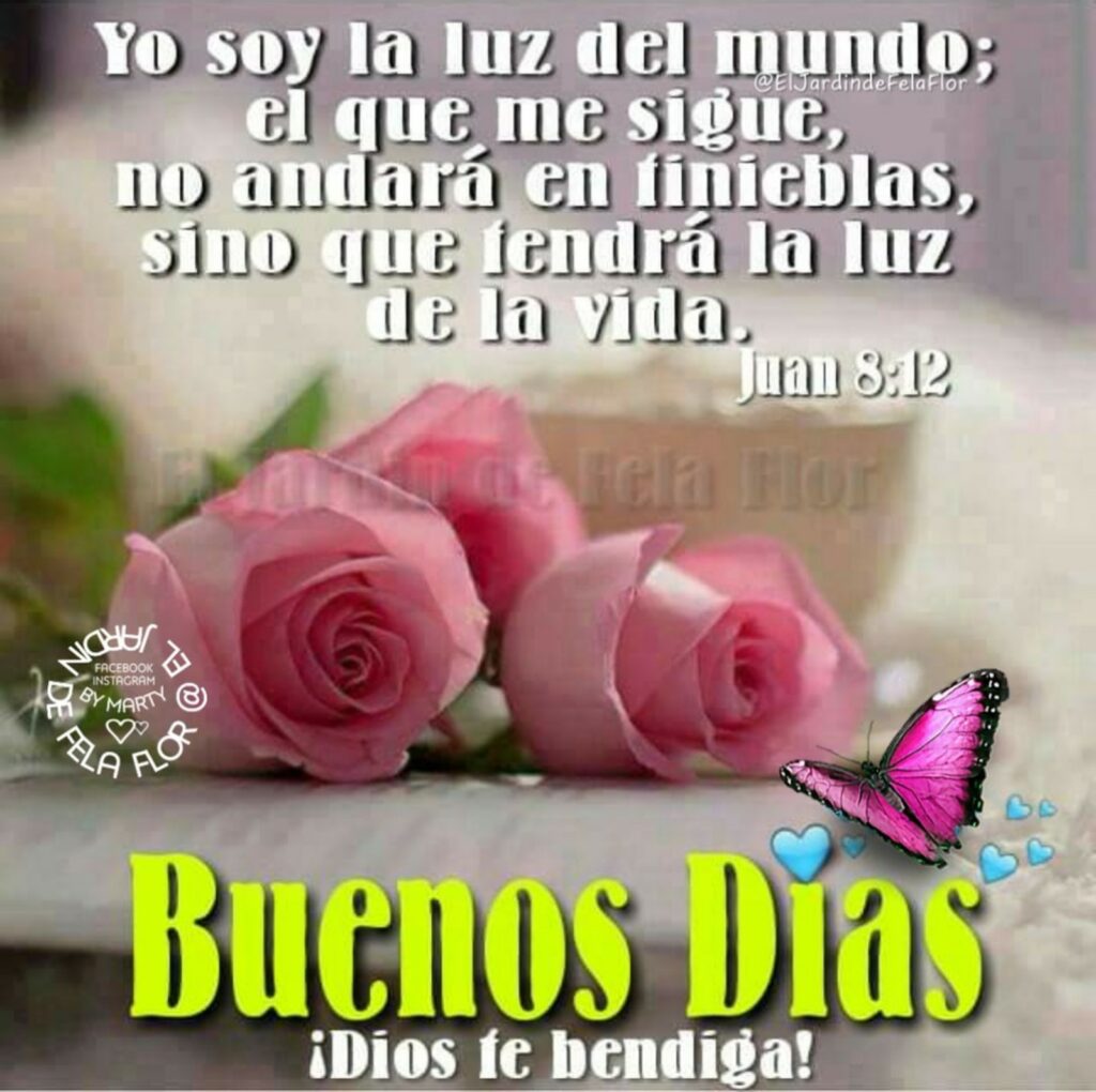 Yo soy la luz del mundo; el que me sigue, no andará en tinieblas, sino que tendrá la luz de la vida. (Juan 8:12) Buenos Días