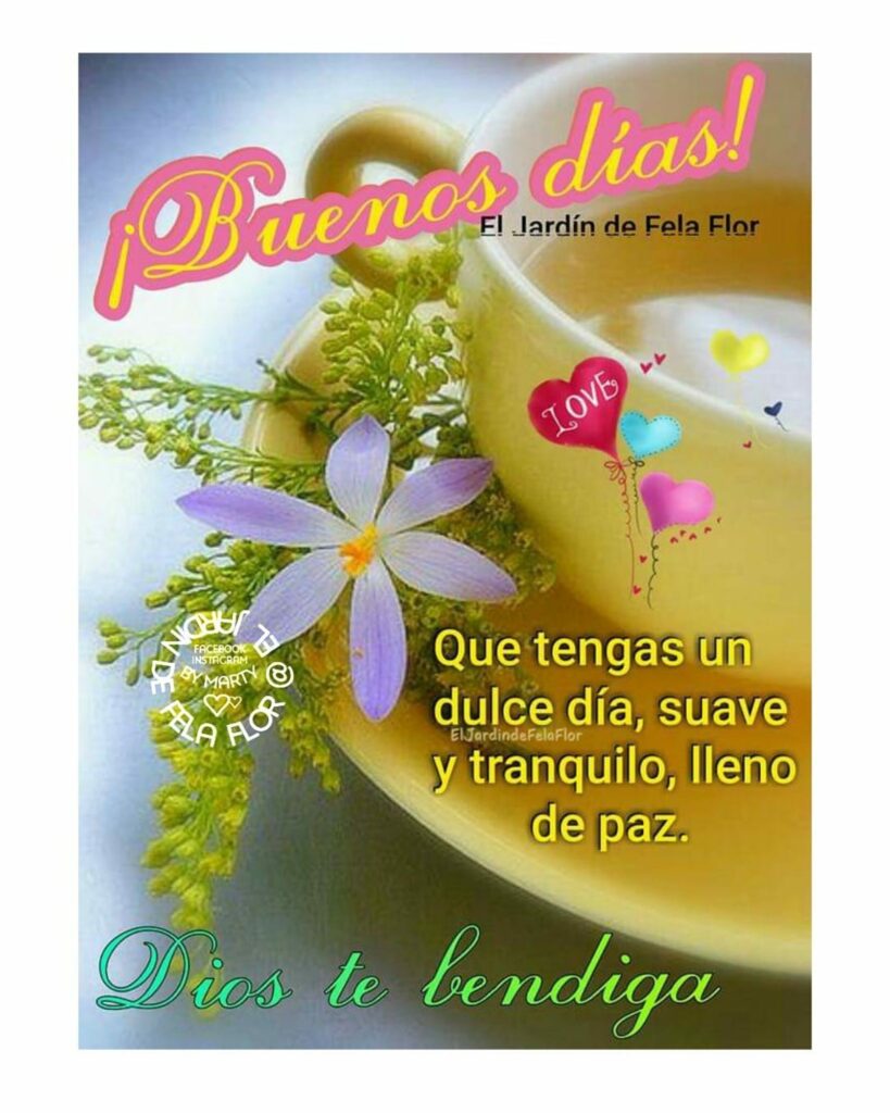 ¡Buenos Días! Que tengas un dulce día, suave y tranquilo, lleno de paz. Dios te bendiga