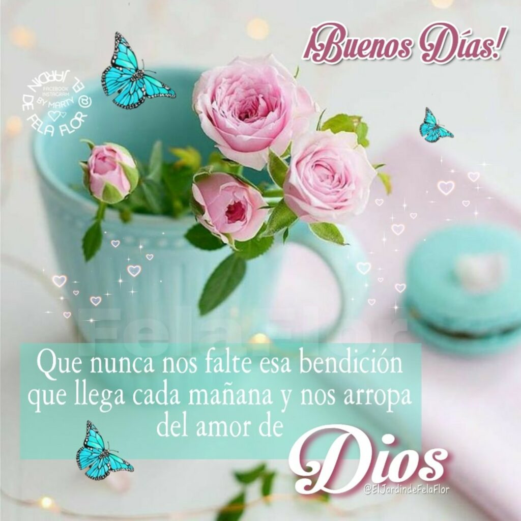 ¡Buenos días! Que nunca nos falte esa bendición que llega cada mañana y nos arropa del amor de Dios