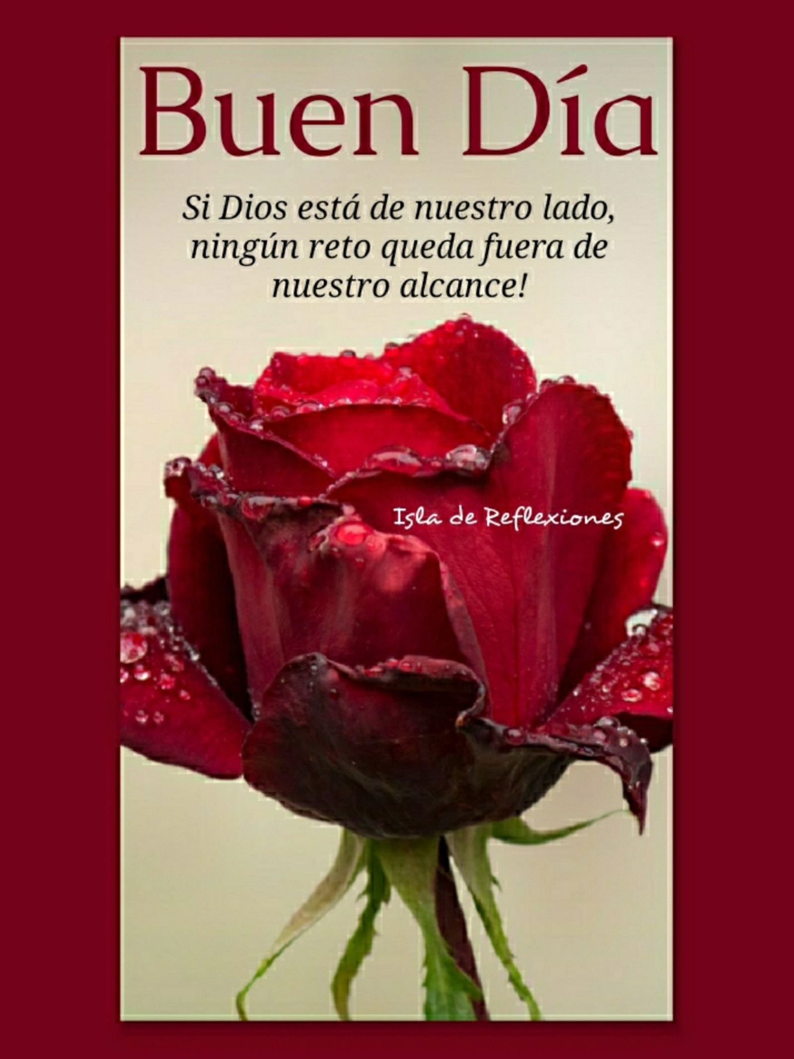 40+ frases y imágenes de Buenos Días - ImagenesMuyBonitas.net