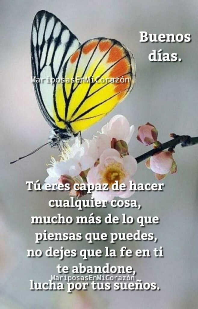 Buenos días. Tú eres capaz de hacer cualquier cosa, mucho más de lo que piensas que puedes, no dejes que la fe en ti te abandone, lucha por tus sueños.