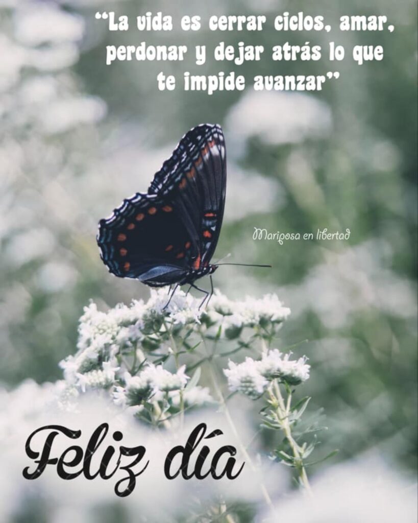 "La vida es cerrar ciclos, amar, perdonar y dejar atrás lo que te impide avanzar." Feliz día