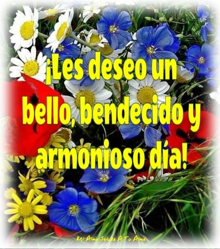 ¡Les deseo un bello, bendecido y armonioso día!