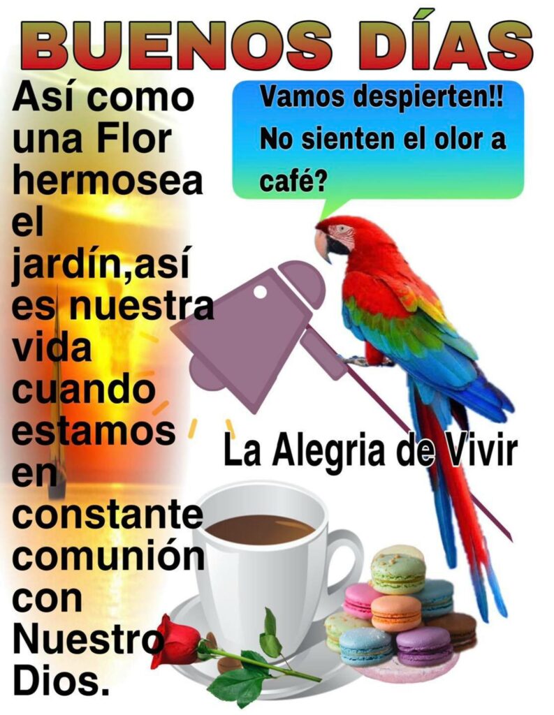 BUENOS DÍAS. Vamos despertien!! No sienten el olor a café?