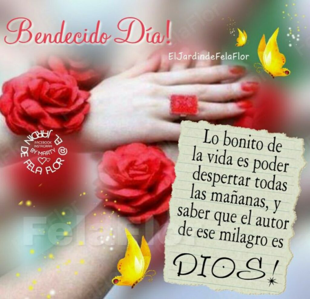 Bendecido Día! Lo bonito de la vida es poder despertar todas las mañanas y saber que el autor de ese milagro es DIOS ! (El jardin de Fela Flor)