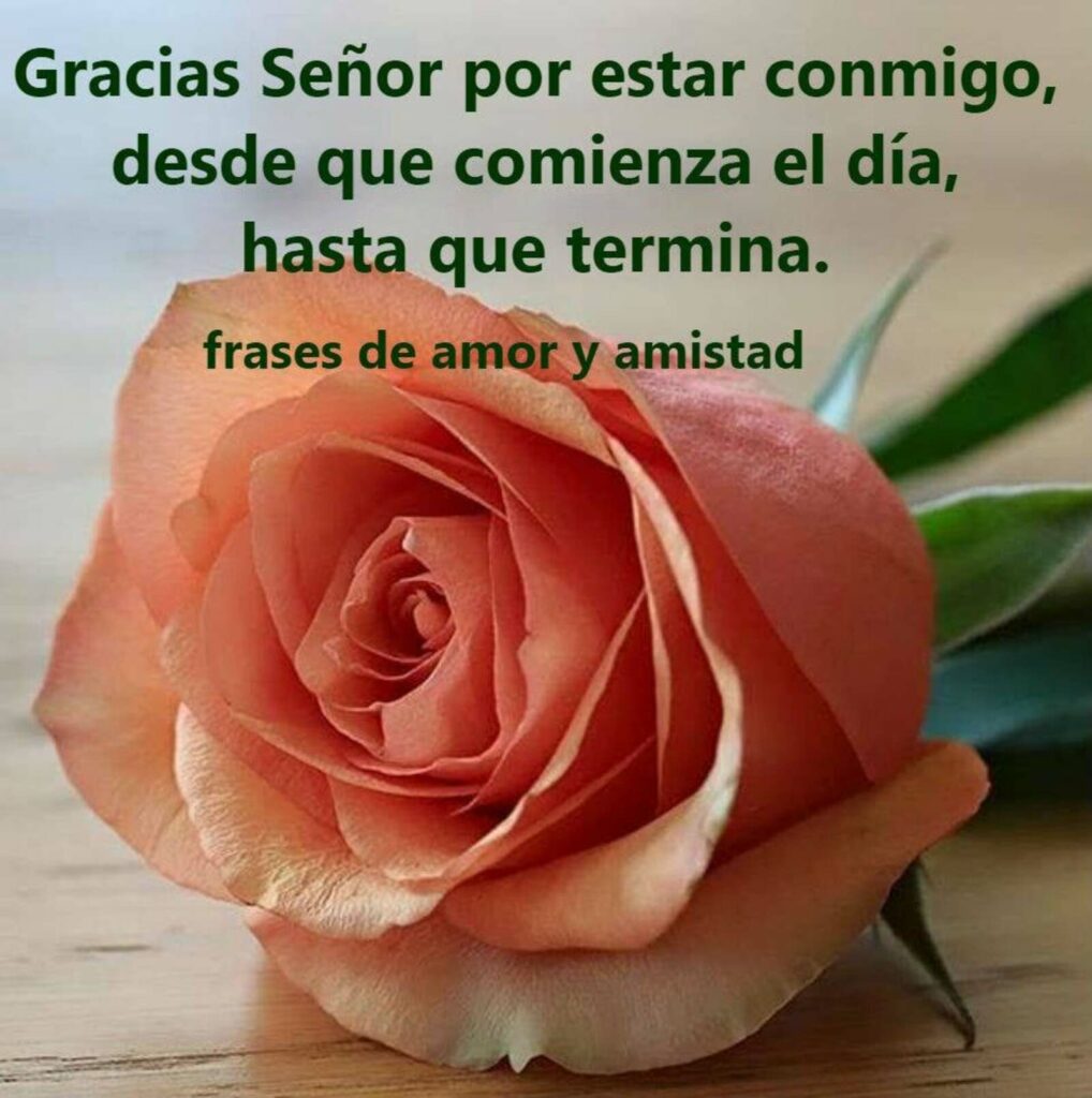 Gracias Señor por estar conmigo, desde que comienza el día, hasta que termina. (frases de amor y amistad)