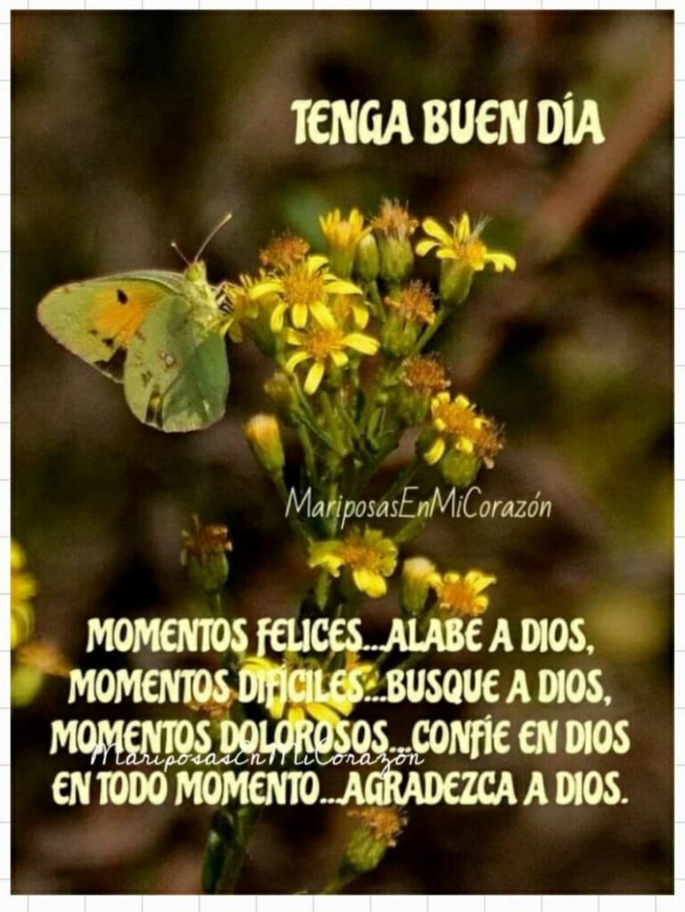 TENGA BUEN DÍA. Momentos felices... alabe a Dios, momentos difíciles... busque a Dios, momentos dolorosos,,, confíe en Dios, en todo momento,,, agradezca a Dios.